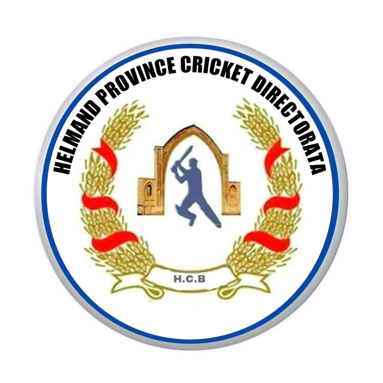 Helmand t20 cricket tournament
