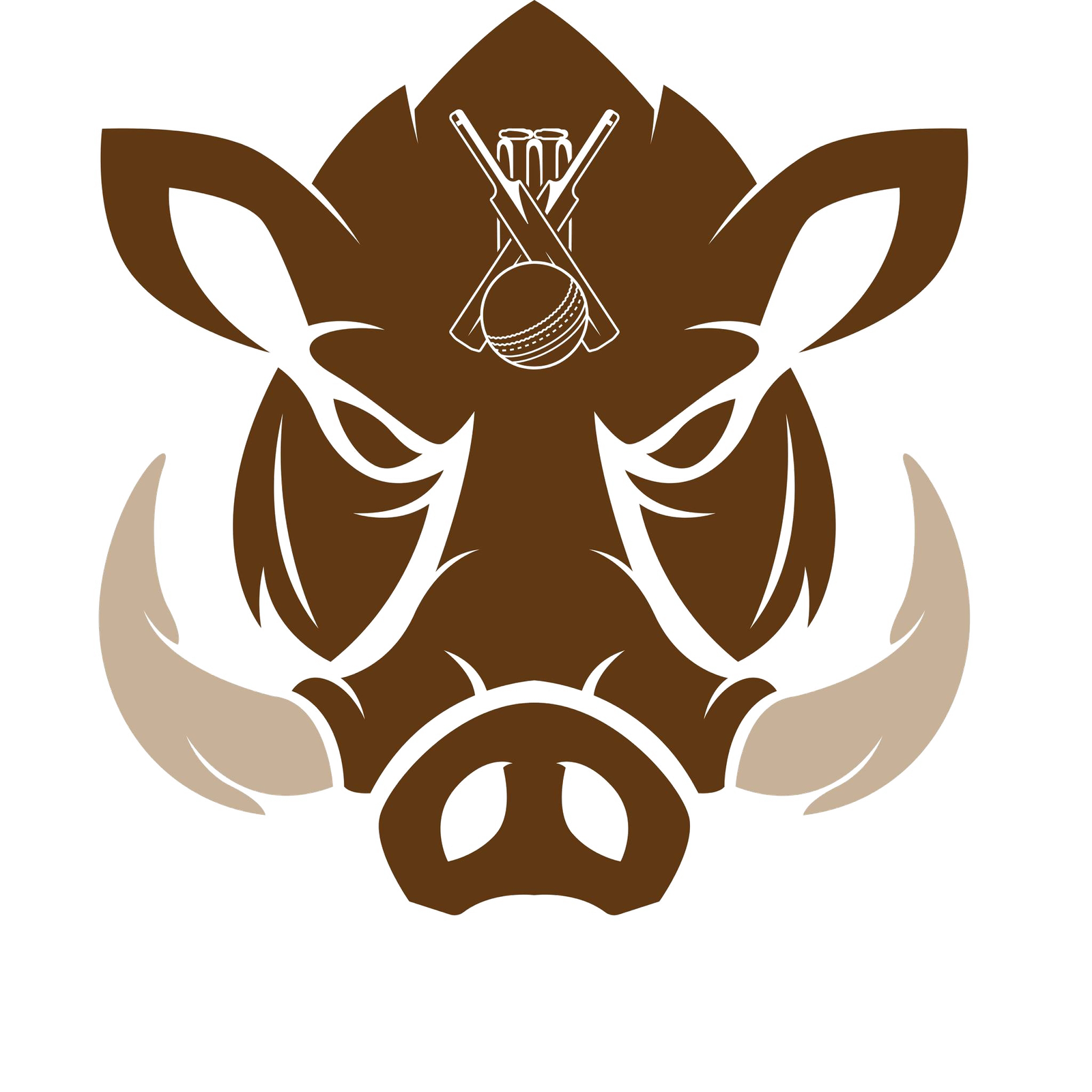 2nd Barahakshetra T-20 Cricket Tournament